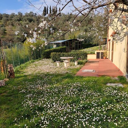 Апартаменти Dependance Nel Chianti A Pochi Minuti Da Firenze Імпрунета Екстер'єр фото