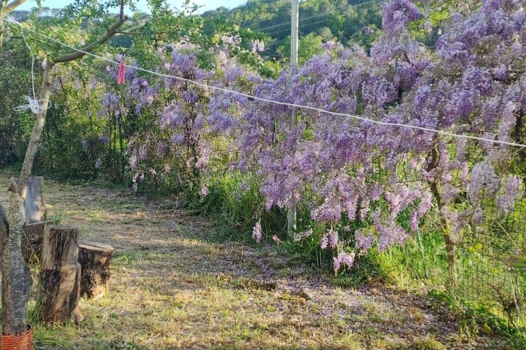 Апартаменти Dependance Nel Chianti A Pochi Minuti Da Firenze Імпрунета Екстер'єр фото